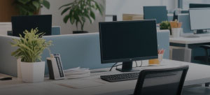 整体评估 定制方案